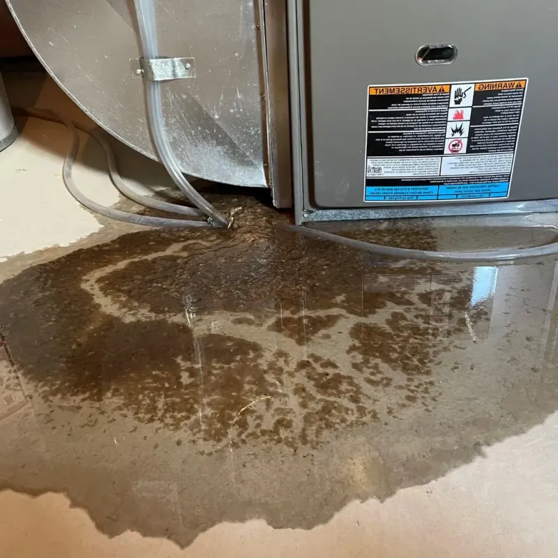 Pipe Burst and Leak Restoration in Saint Clair Shores, MI