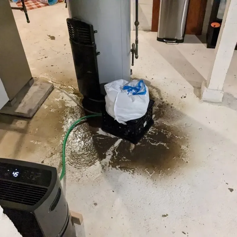 Sewage Backup Cleanup Service in Saint Clair Shores, MI